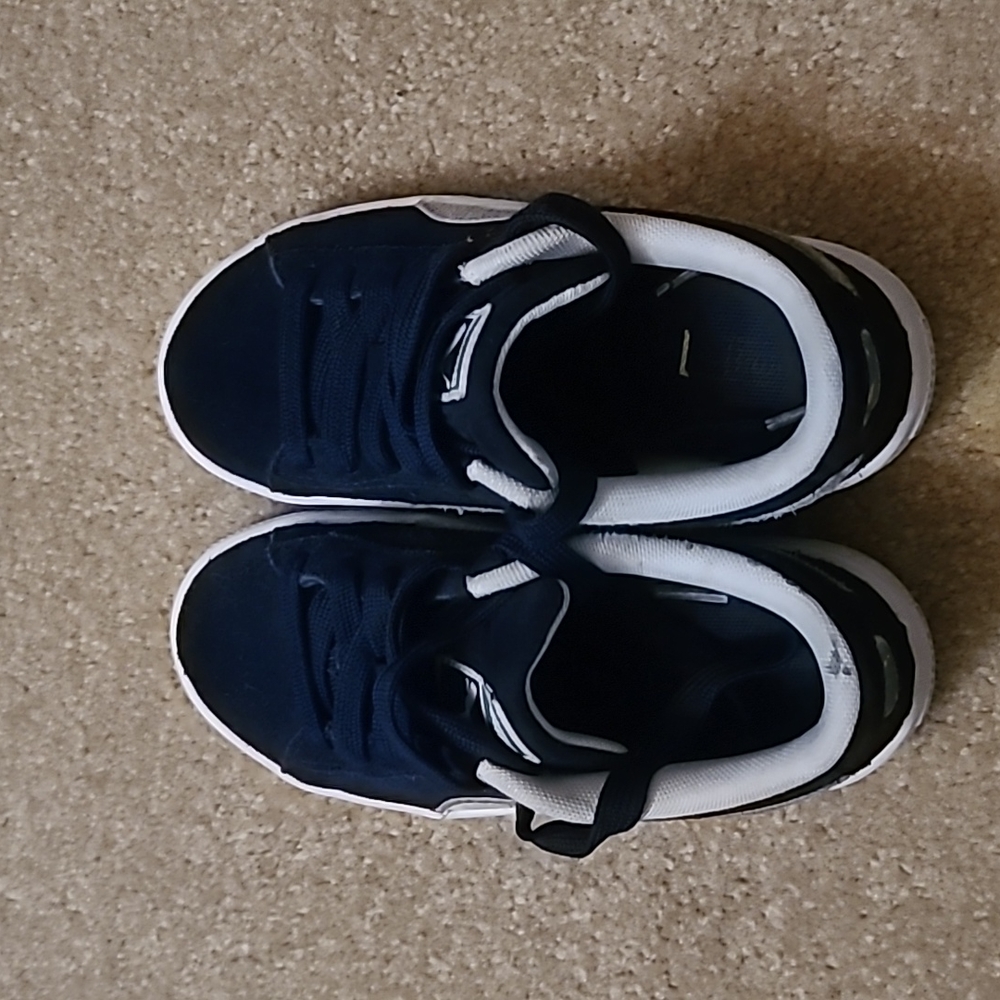 Pumas
